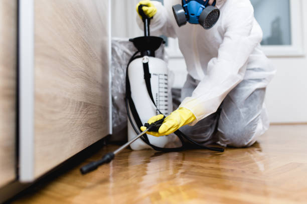 Best Affordable Pest Control Services  in Spearville, KS