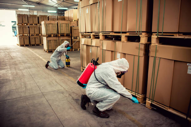 Best Affordable Pest Control Services  in Spearville, KS