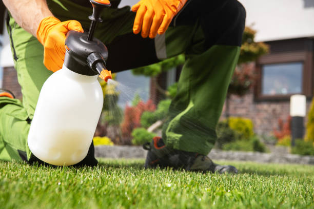 Reliable Spearville, KS Pest Control Solutions
