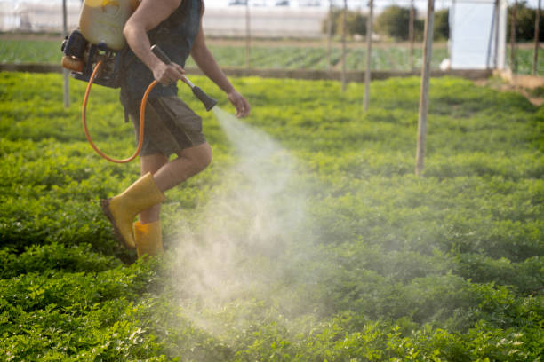 Best Residential Pest Control  in Spearville, KS
