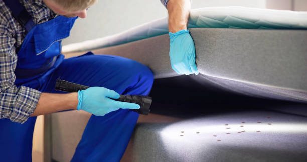 Best Rat Extermination Near Me  in Spearville, KS