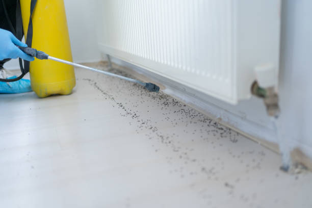 Best Best Pest Control Companies  in Spearville, KS