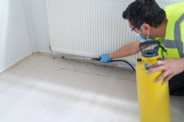 Pest Control for Restaurants in Spearville, KS