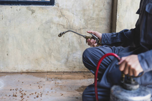 Best Best Pest Control Near Me  in Spearville, KS